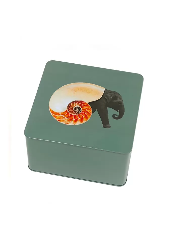 Gangzaï Design Boite Carrée Shellephant Online