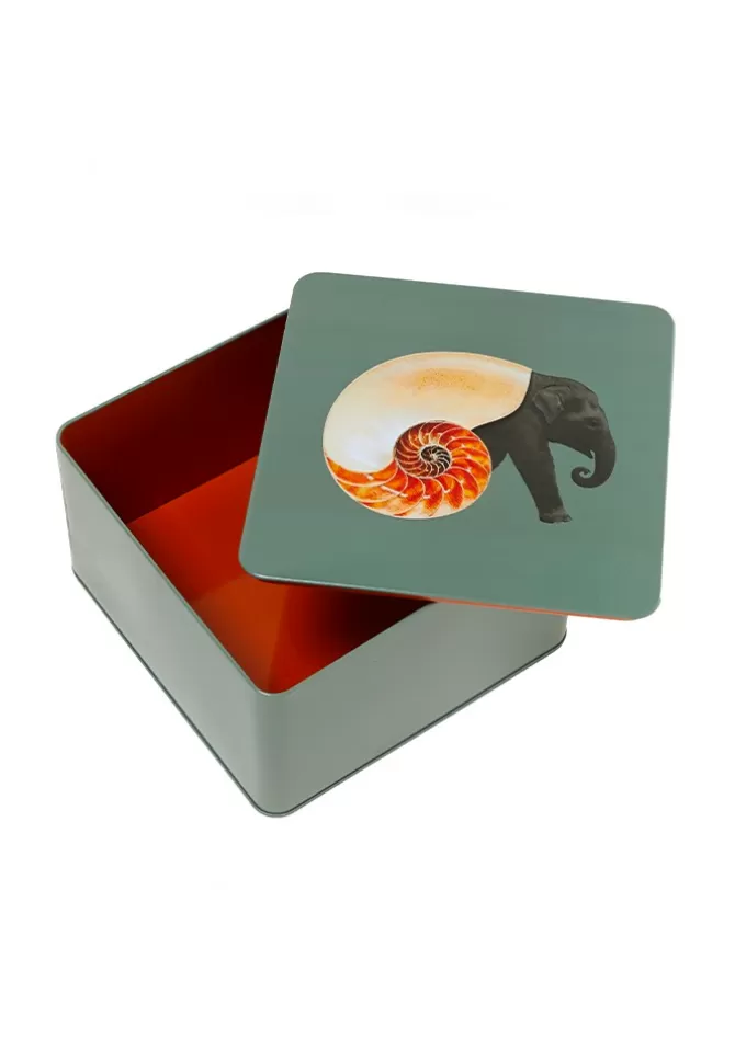 Gangzaï Design Boite Carrée Shellephant Online