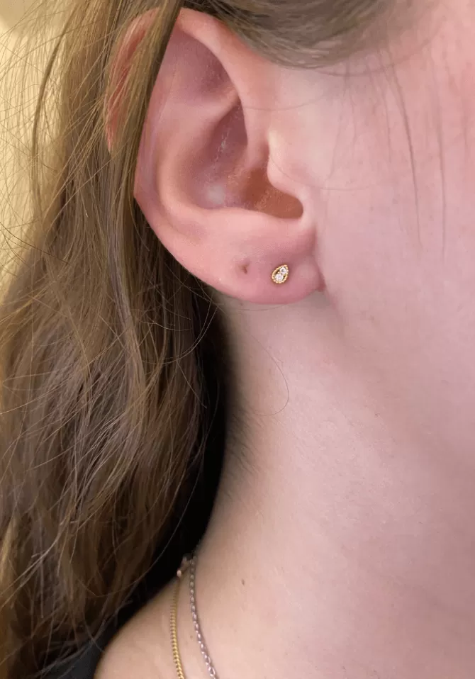Hanka Ïn Boucles D'Oreilles Stay Pic Drop New