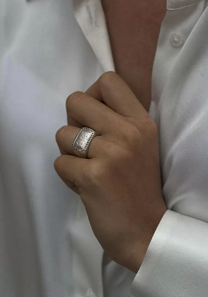 Rosa Maria Chevalière Rasma Argent Fashion
