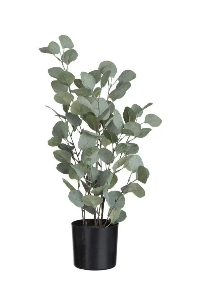 Blush Sélection Décoration Eucalyptus En Pot En Plastique Grand Modèle Online