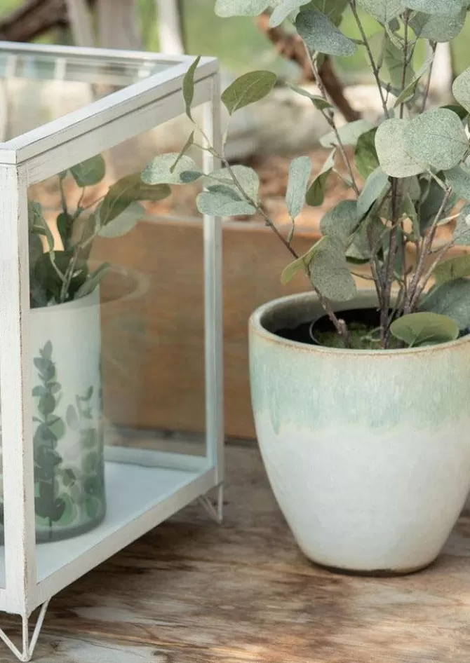 Blush Sélection Décoration Eucalyptus En Pot En Plastique Grand Modèle Online