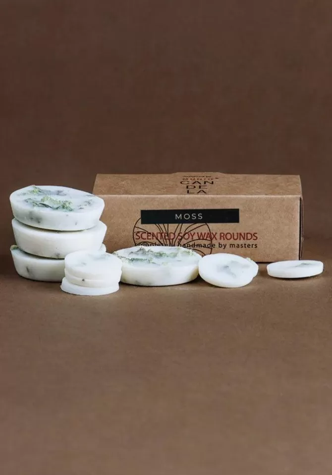The Munio Palets De Cire Moss Cheap