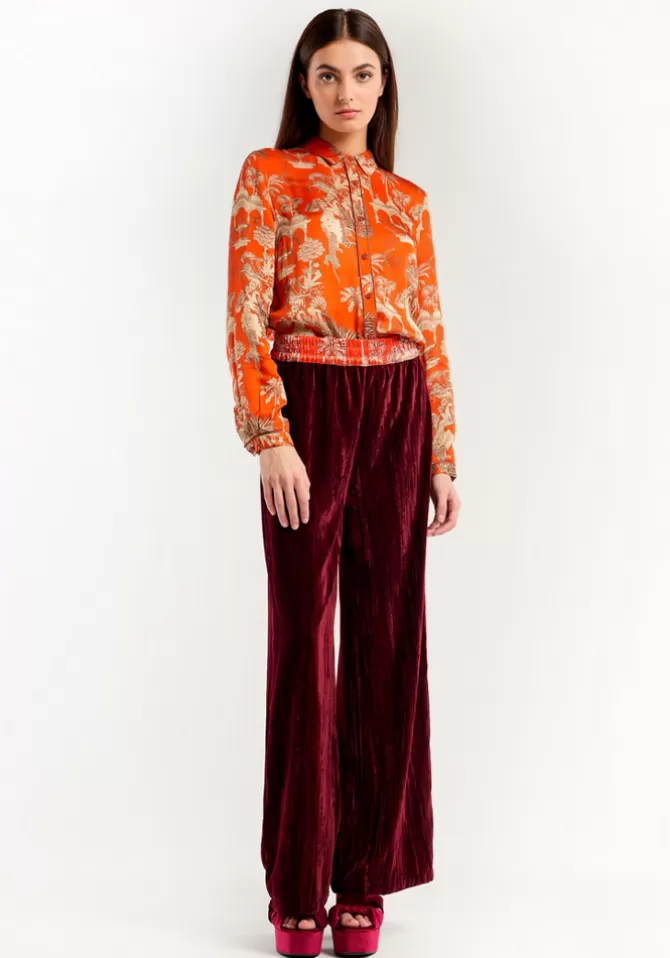 Wild Paris Pantalon Koffi Bordeaux New