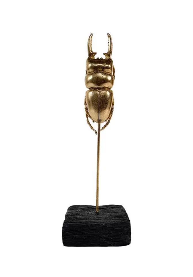 Blush Sélection Décoration Statue Scarabée A Pinces Doré Best Sale