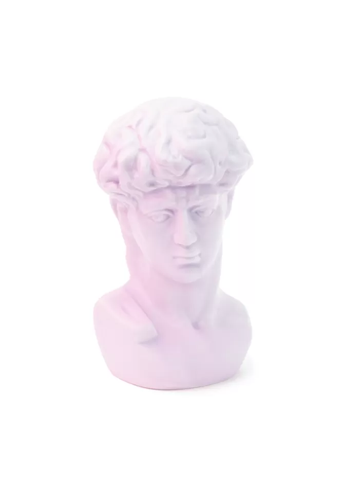 Blush Sélection Décoration Statut Greek Bust Rose New